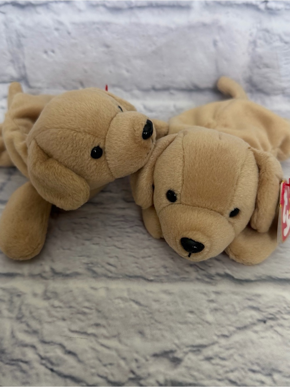 TY Beanie Baby - Fetch - 2 pack